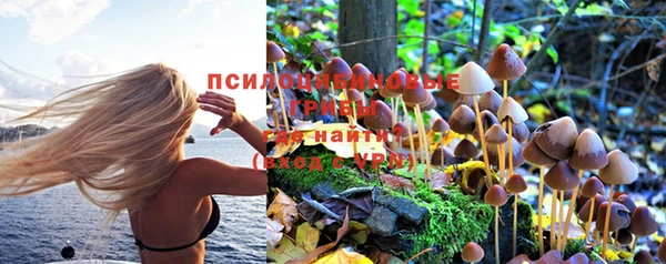 не бодяженный Дмитриев