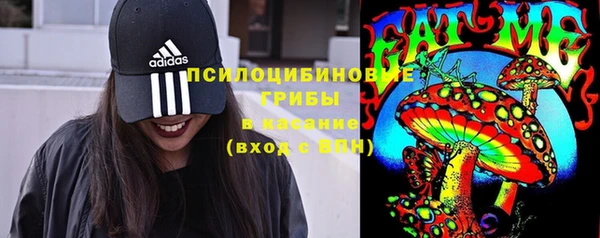 прущие крисы Дмитров