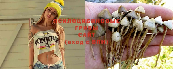 не бодяженный Дмитриев