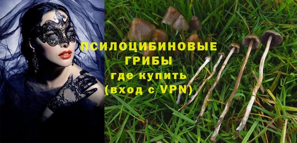 не бодяженный Дмитриев
