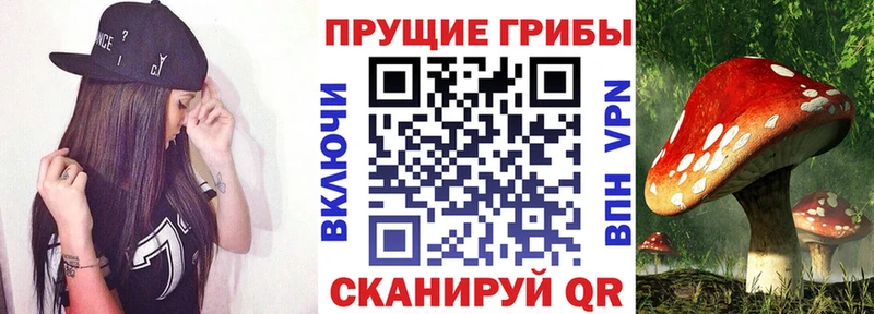 Псилоцибиновые грибы мухоморы  площадка наркотические препараты  Печоры  где найти  